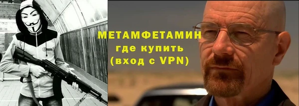 прущие грибы Надым