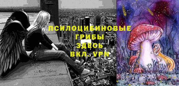 таблы Алексеевка