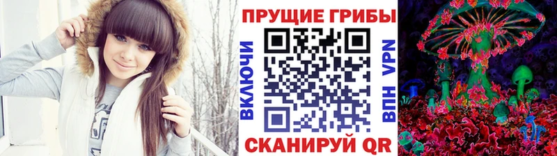 Галлюциногенные грибы MAGIC MUSHROOMS  Курган 
