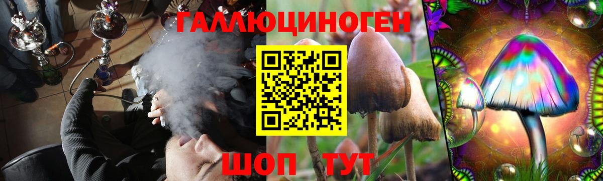 Псилоцибиновые грибы MAGIC MUSHROOMS  Псилоцибиновые грибы мицелий  Вход с VPN  Курган 